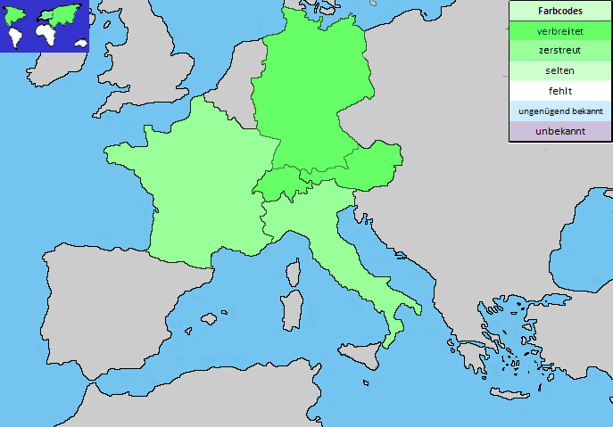 nächstes Bild